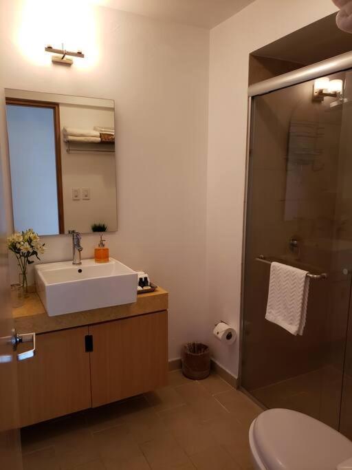 Luxury Apartment In Carso, Polanco メキシコシティ エクステリア 写真