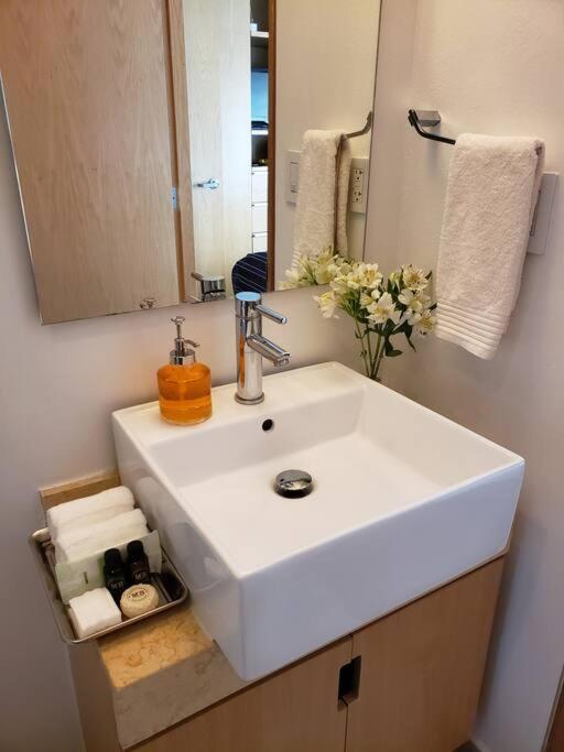 Luxury Apartment In Carso, Polanco メキシコシティ エクステリア 写真